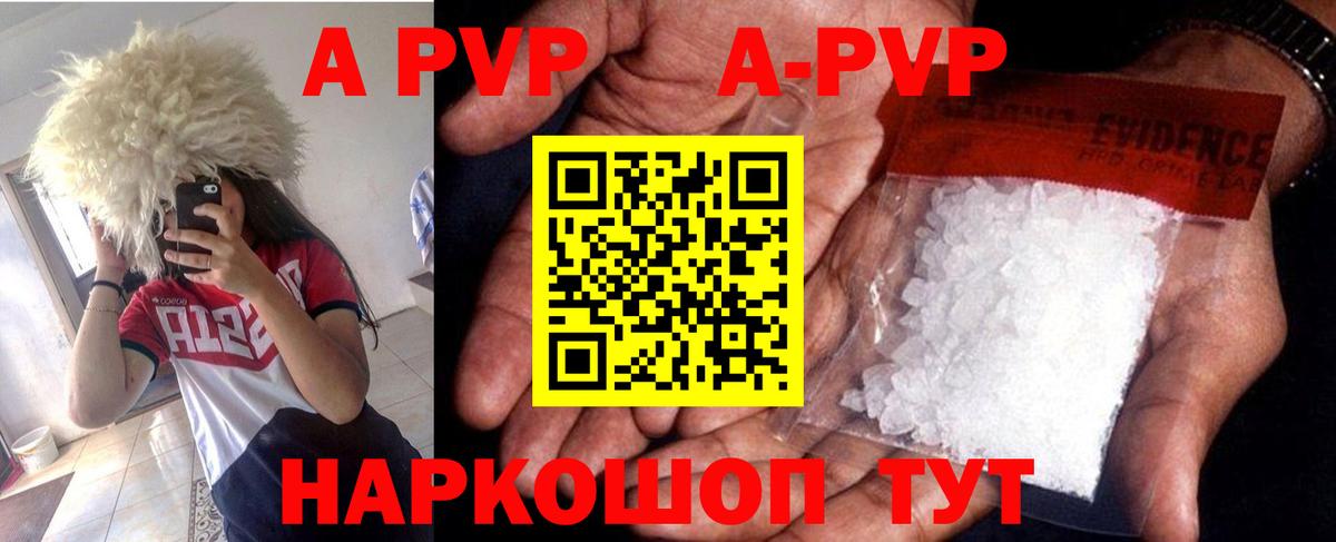 A PVP СК КРИС  Вход с VPN  Альфа ПВП крисы CK  Королёв 