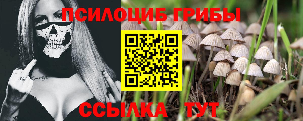 Галлюциногенные грибы MAGIC MUSHROOMS Королёв